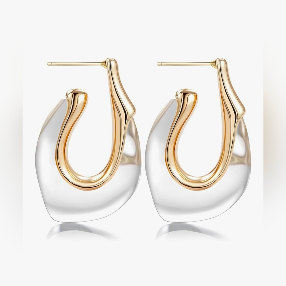 Elegant Gold and Silver Hoop Earringsā